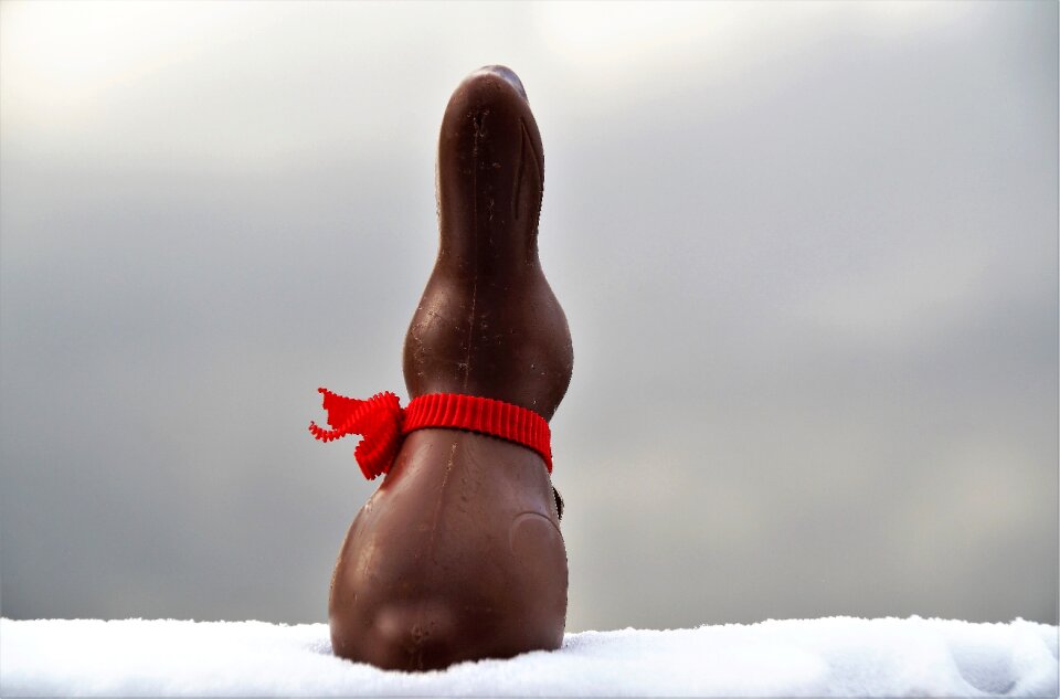 Hare a lone carol