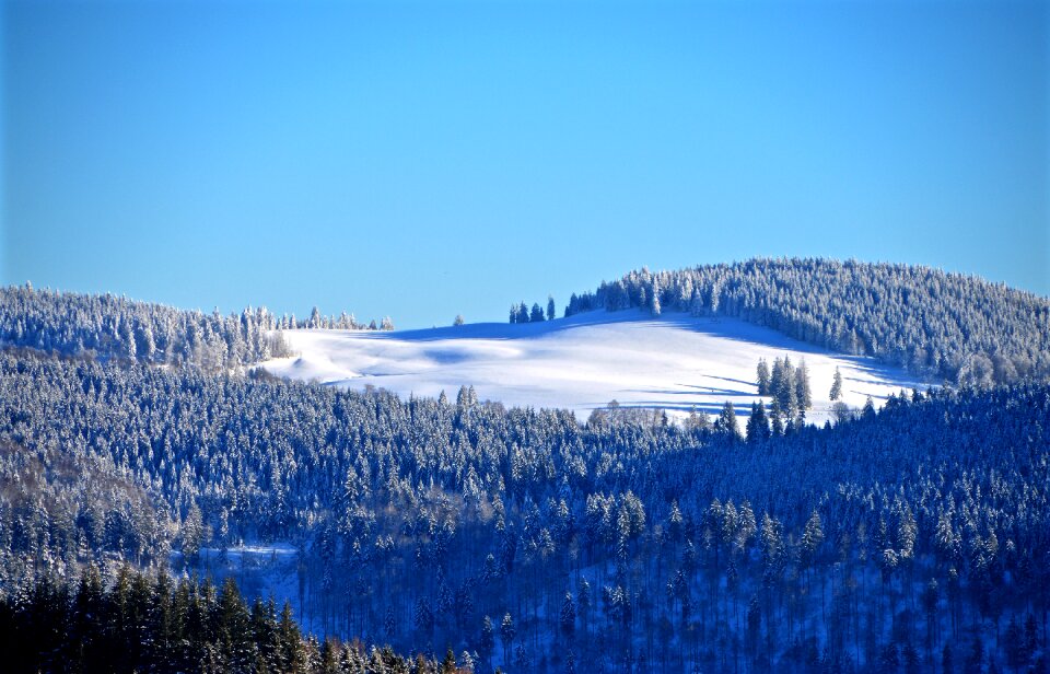 Eiswald hill nature photo