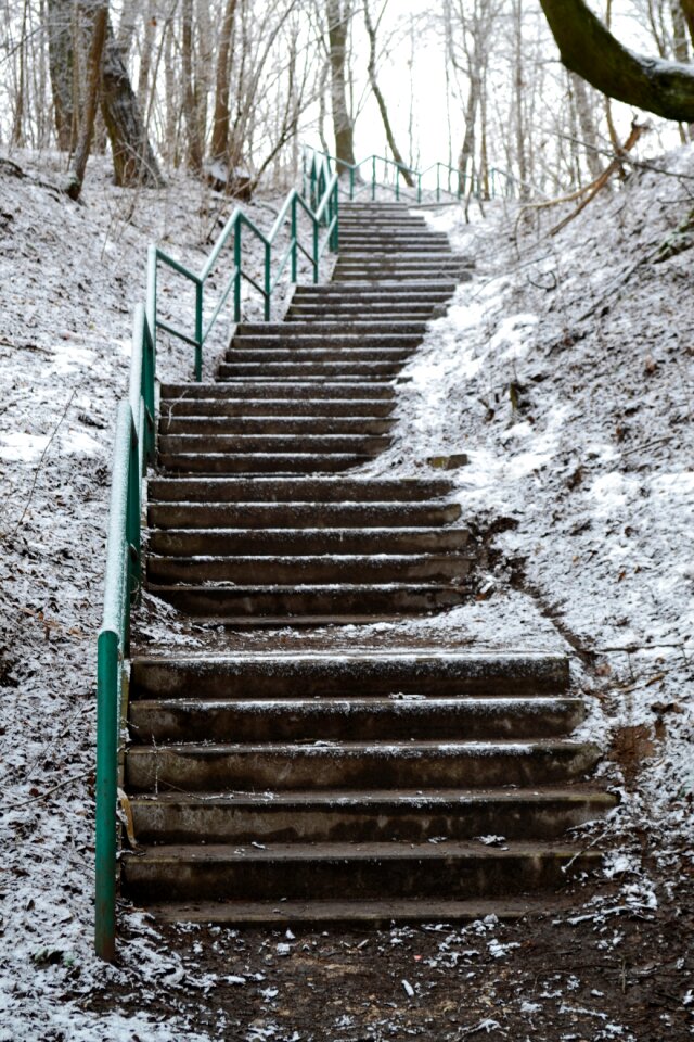 Snow nature poznan