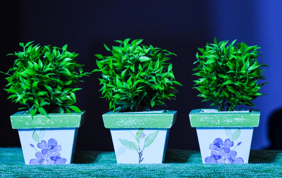 Decoration artificial inside
