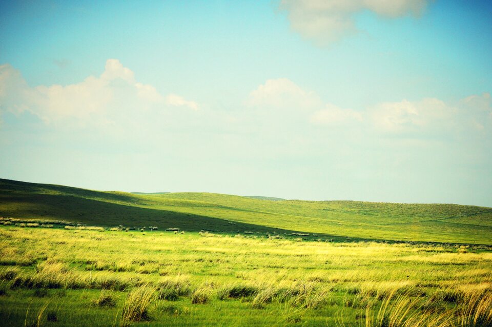 Prairie gol white cloud