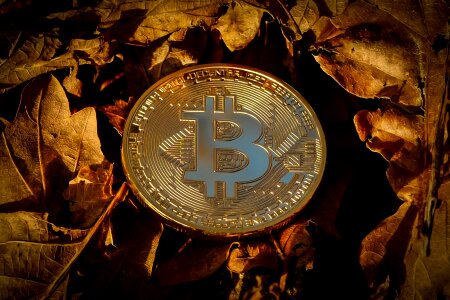 Coin crypto cryptocurrency