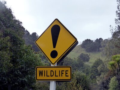 Sign road sign new zealand