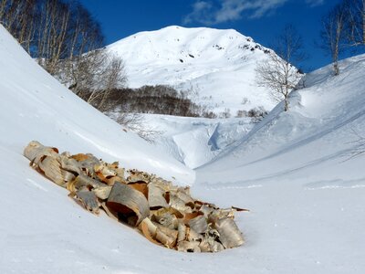 Ravine birch bark fossa