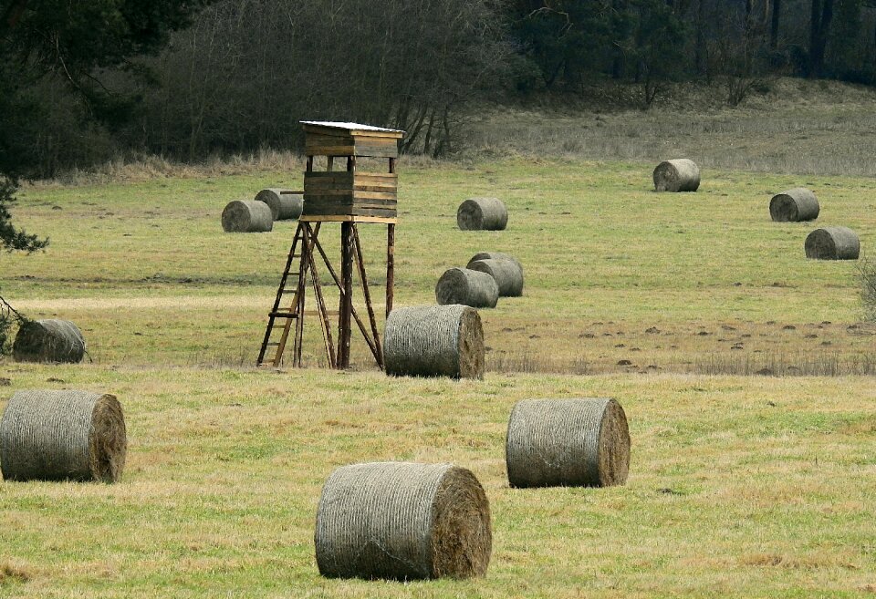Rural district nature winter