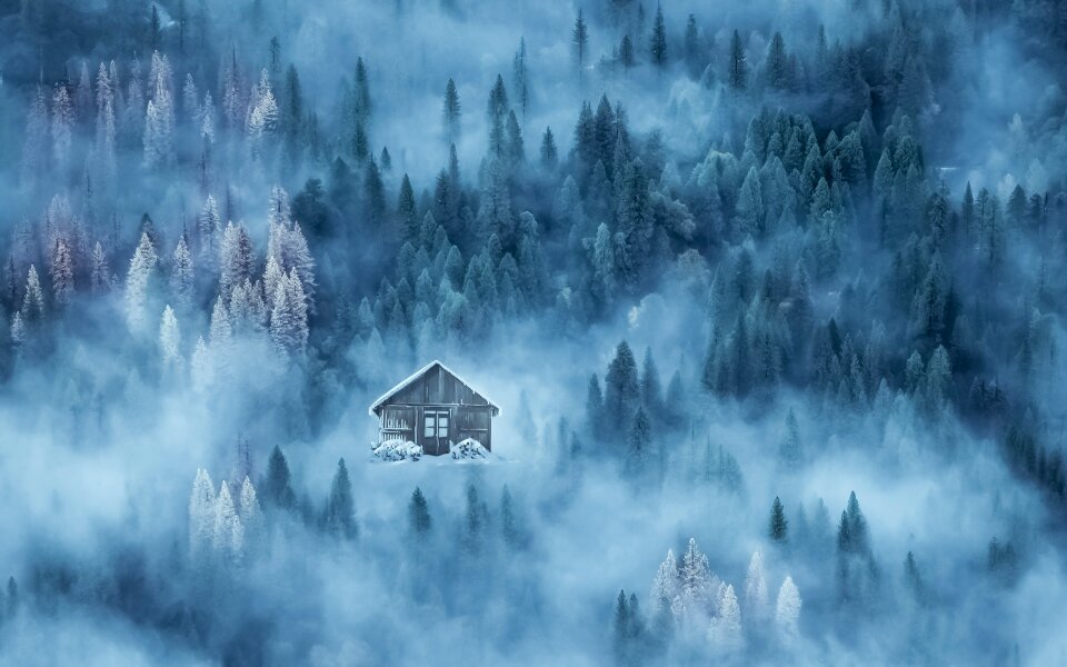 Mist background blue wood