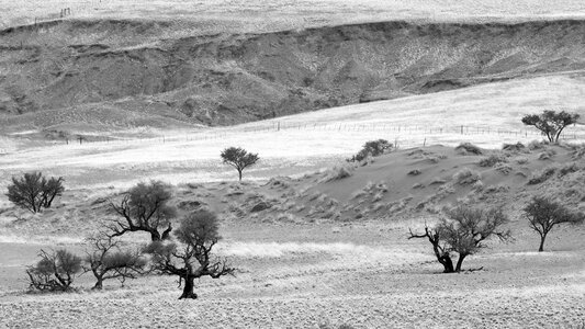 Namib desert sand