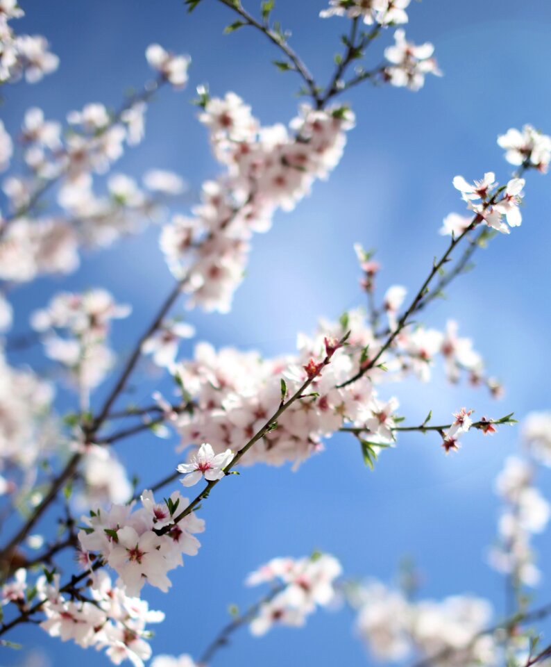 Blur bokeh white