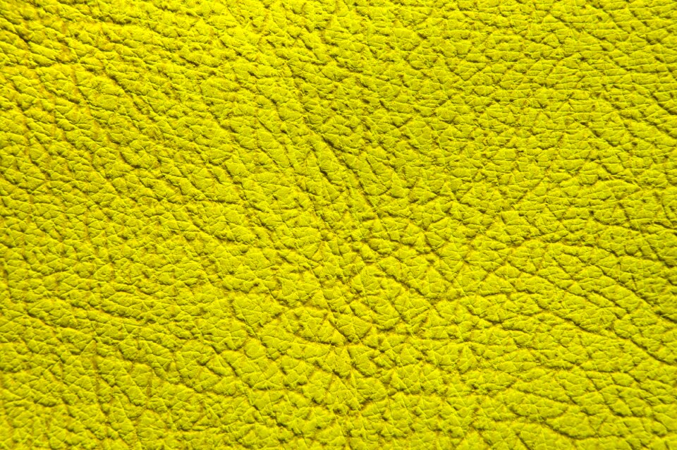 Texture structure leather photo