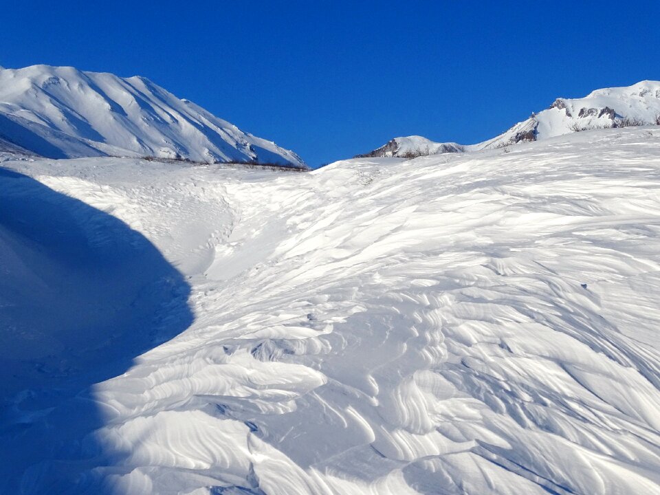 Winter wind snow photo