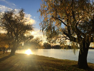Sunset trees reflection