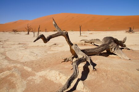 Namib desert dead vlei desert photo