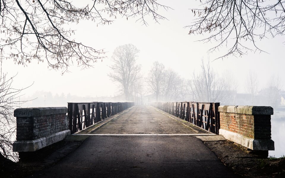 Bridge trees snow winter