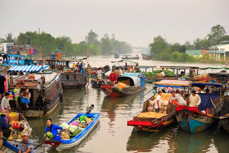 The tradition the mekong delta river photo