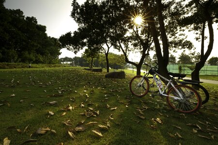 Alone there bike