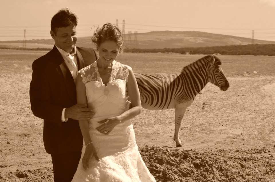 Happy love brown wedding