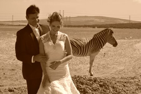 Happy love brown wedding