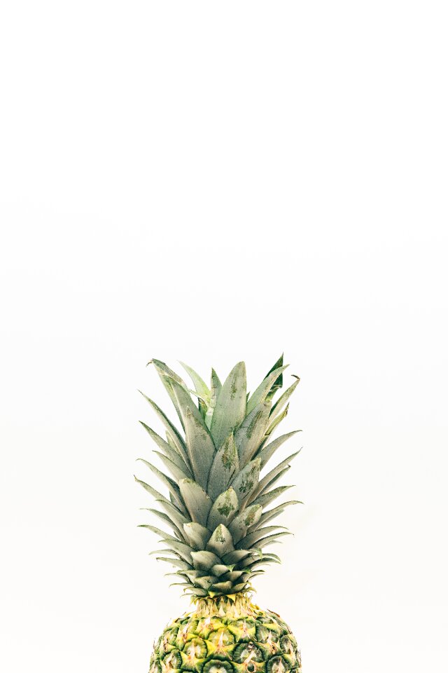 Fruit juice food