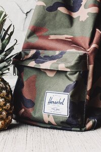 Outdoor herschel pineapple