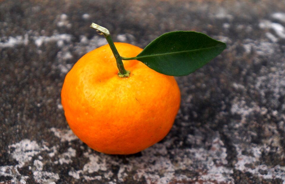Vietnam tangerines orange