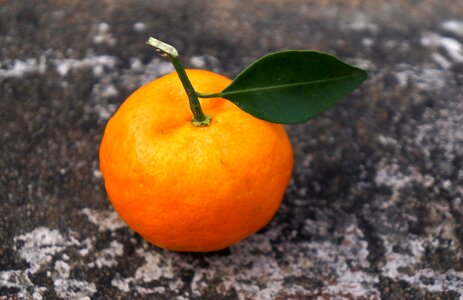 Vietnam tangerines orange
