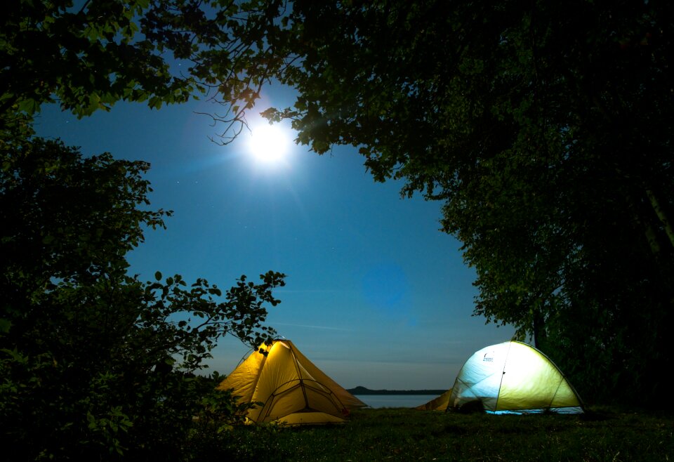 Nature outdoor night