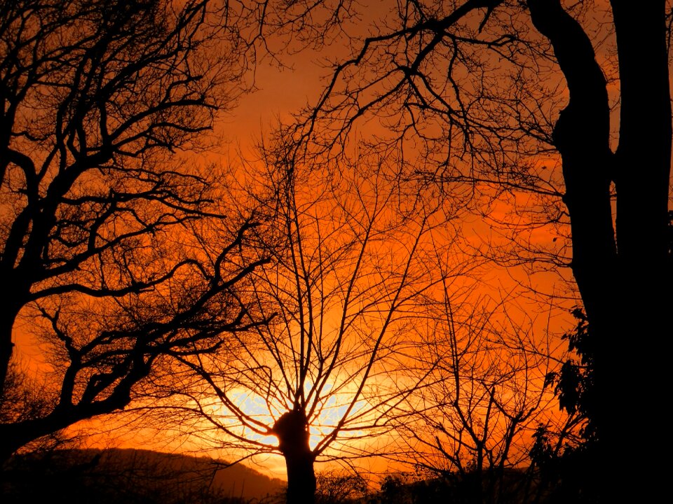 Landscape fall sunset