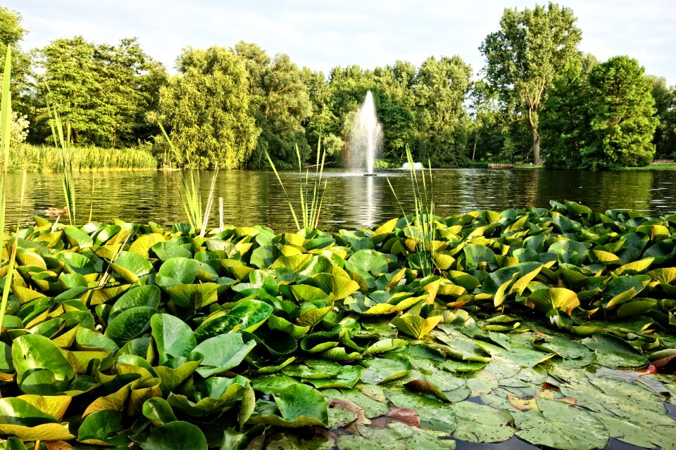 Park design landscape