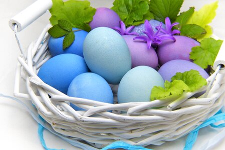 Easter eggs easter nest osterkorb photo