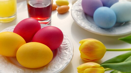 Color background breakfast