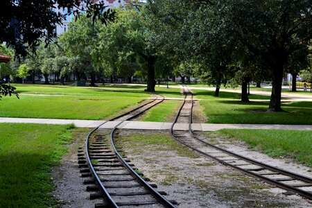 Track grass trees photo