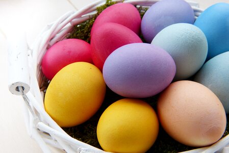 Colored dye eggs self-made photo