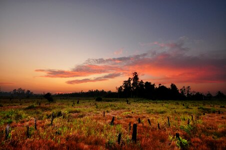 Buntok kalimantan indonesia