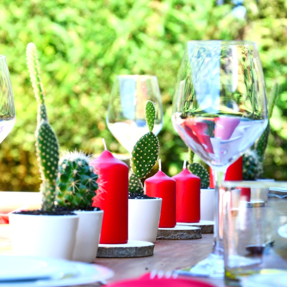 Succulent wedding weddingplanner