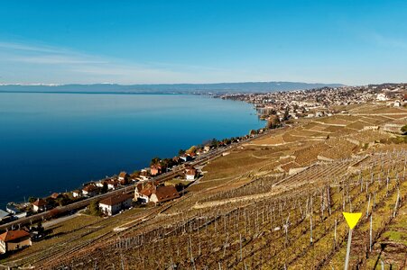 Switzerland vineyards lavaux photo