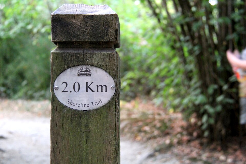 Hiking nature adventure