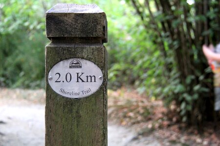 Hiking nature adventure