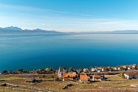 Switzerland vineyards lavaux photo