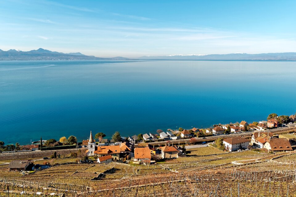 Switzerland vineyards lavaux