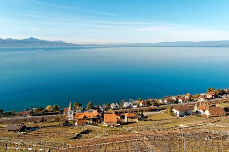 Switzerland vineyards lavaux photo
