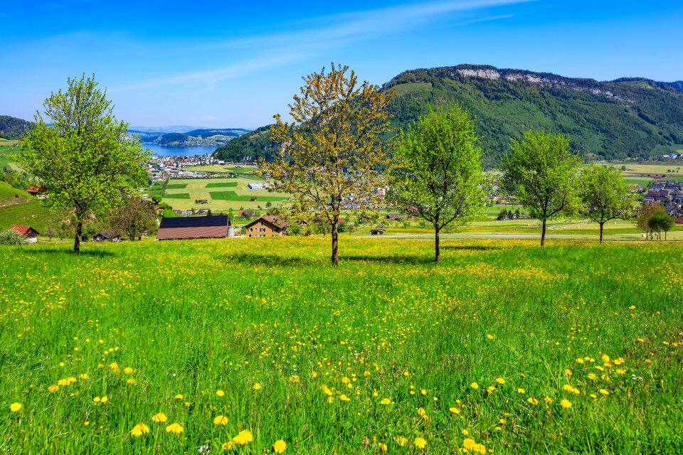 Travel travel destinations springtime