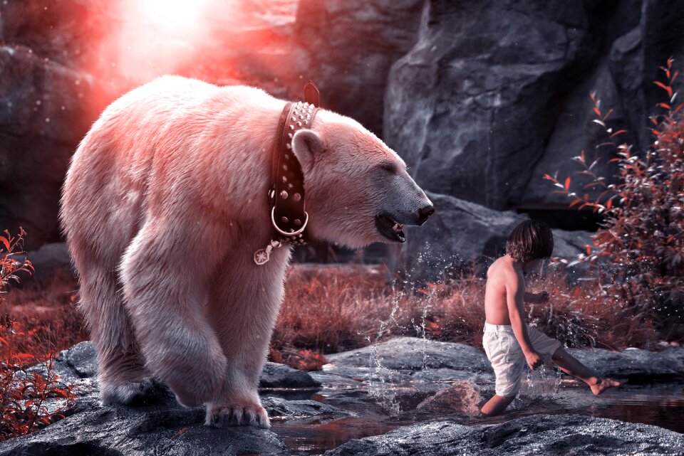 Play mammal nature