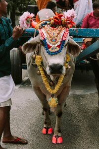 India hinduism traditional