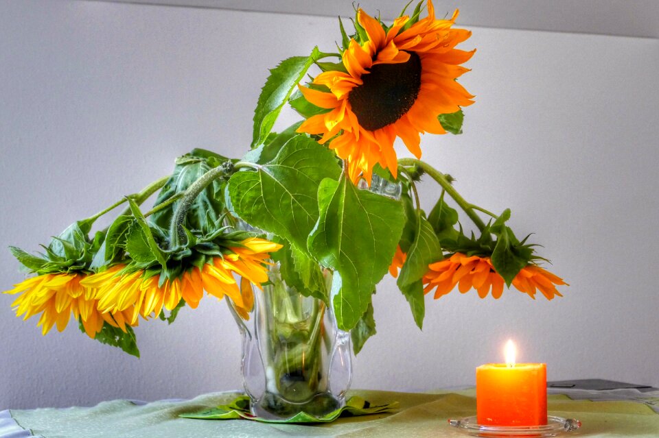 Plant nature bouquet
