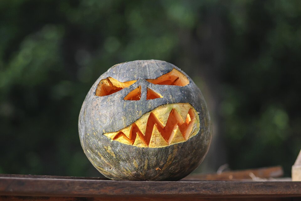 Pumpkin spooky africa