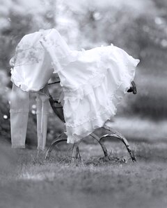 Romantic wedding bride photo