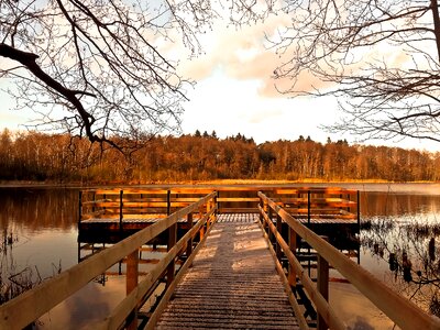 Nature pond view photo