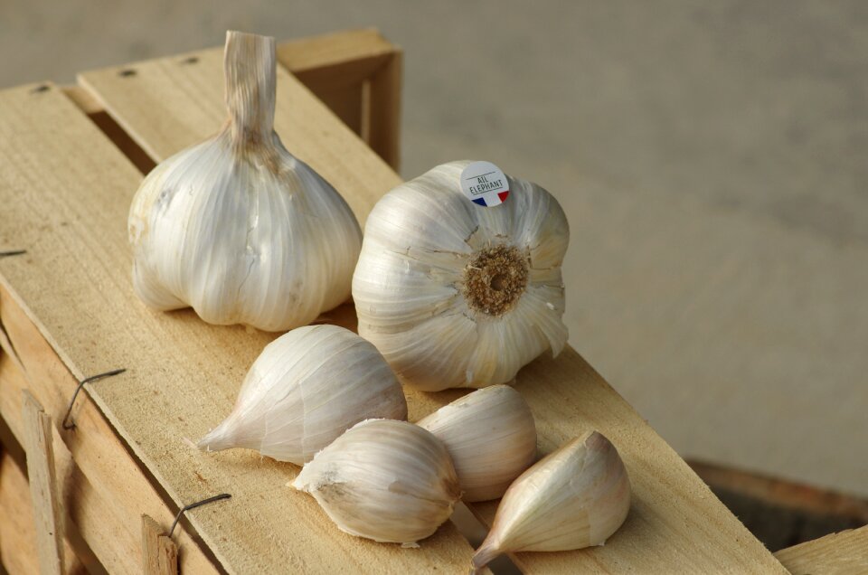 Garlic grown kitchen novelty