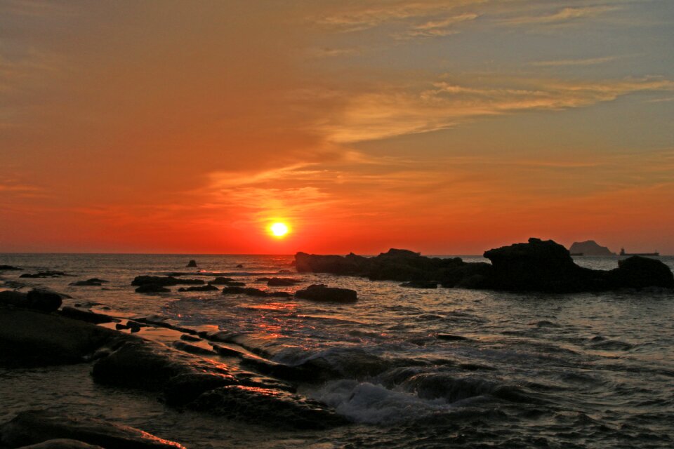 Miles turtle roar sunrise