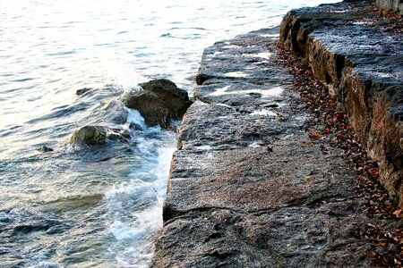 The waves water www